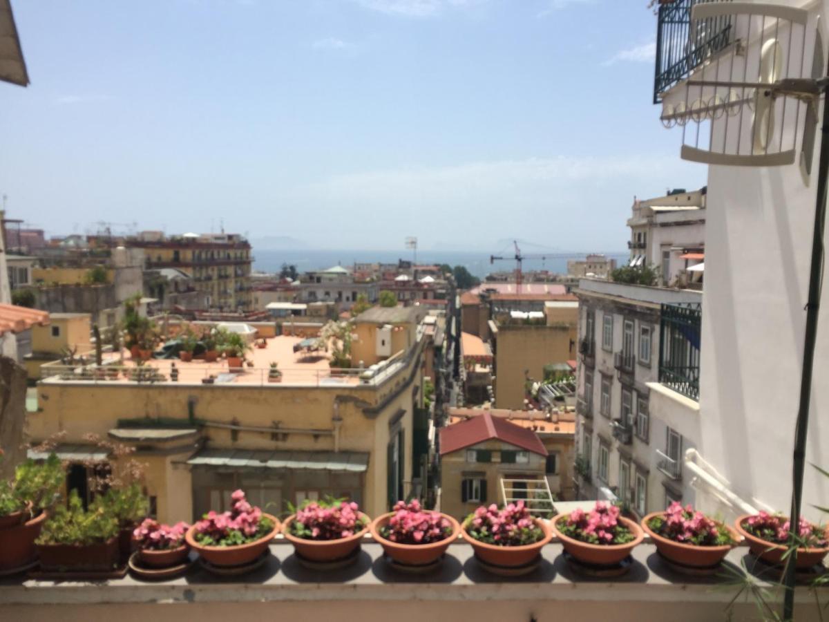 - Selene House - Terrazza A Chiaia Holiday home